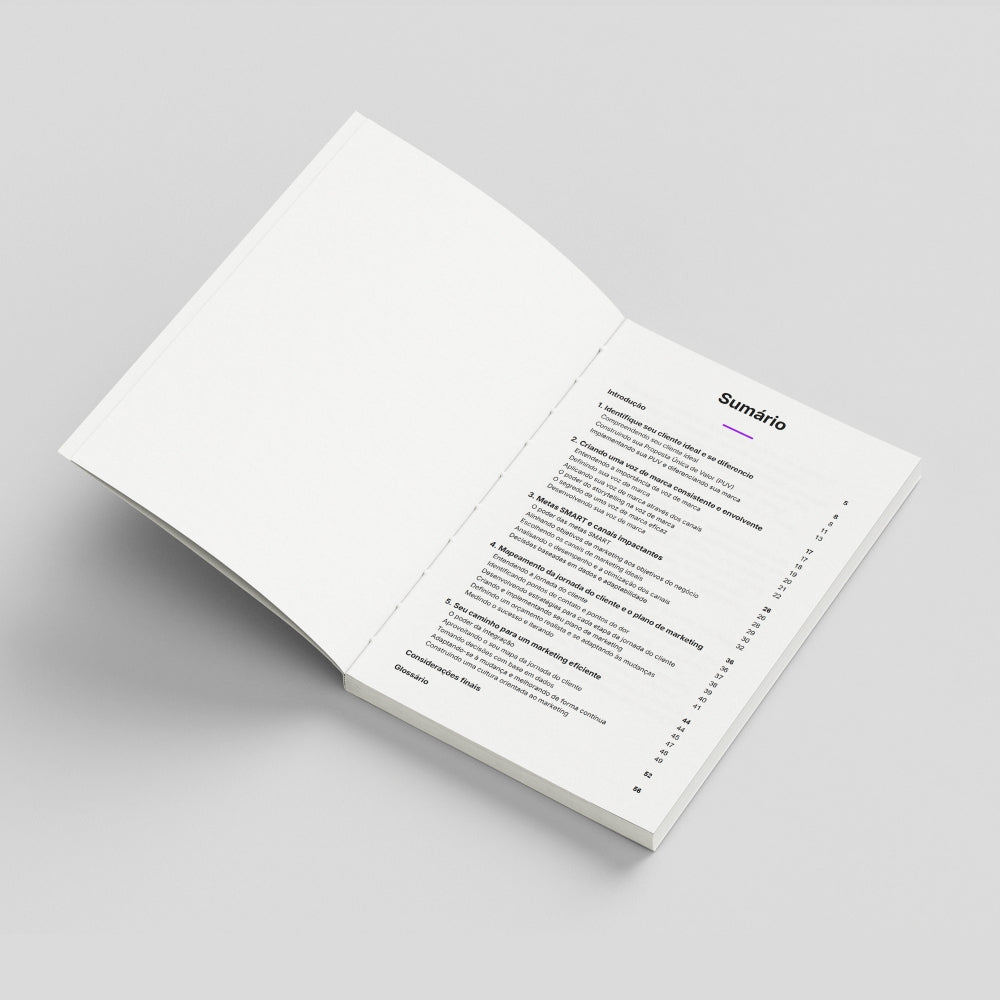 Plano de Marketing Simplificado